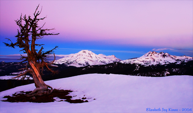 Winter's Glory, Oregon