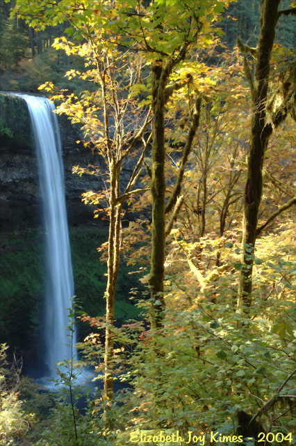 South Falls, Silver Falls, Oregon