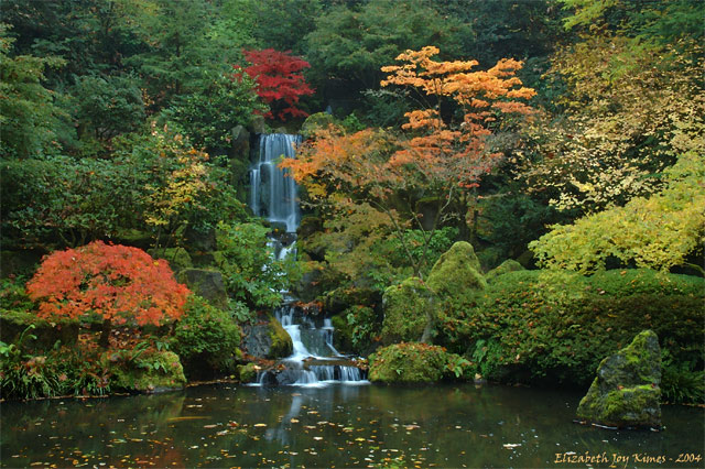 Autumn Waterfall - Portland Japanese Gardens