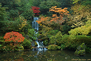 Japanese Gardens