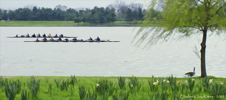 Rowing