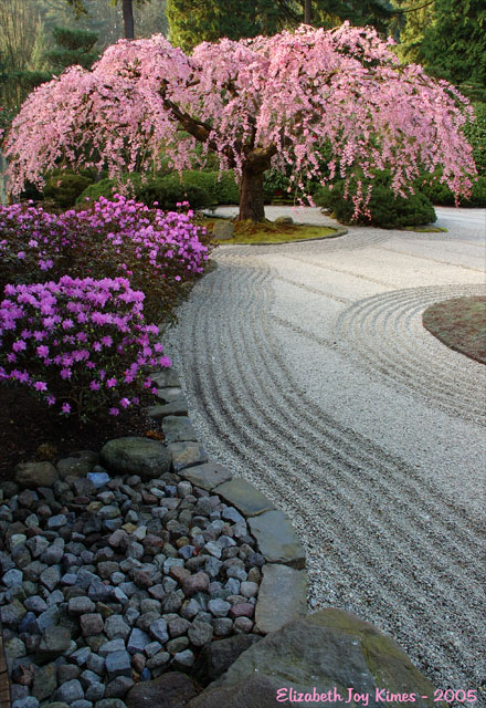 Spring Gardens