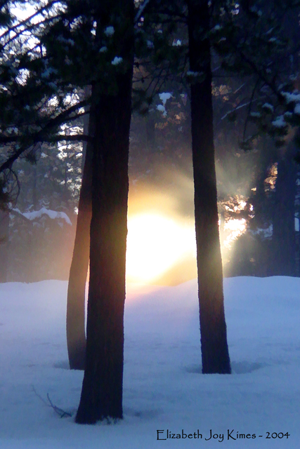 Winter Illumination