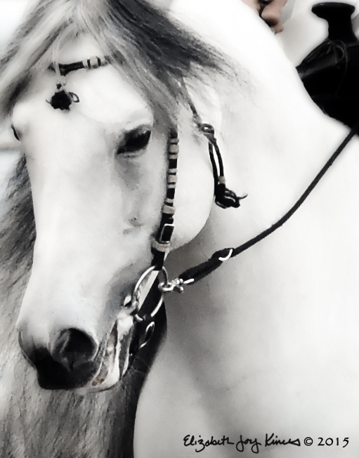 Andalusian Beauty