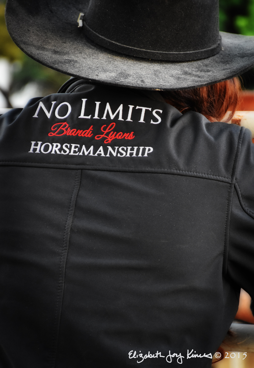 No Limits Horsemanship