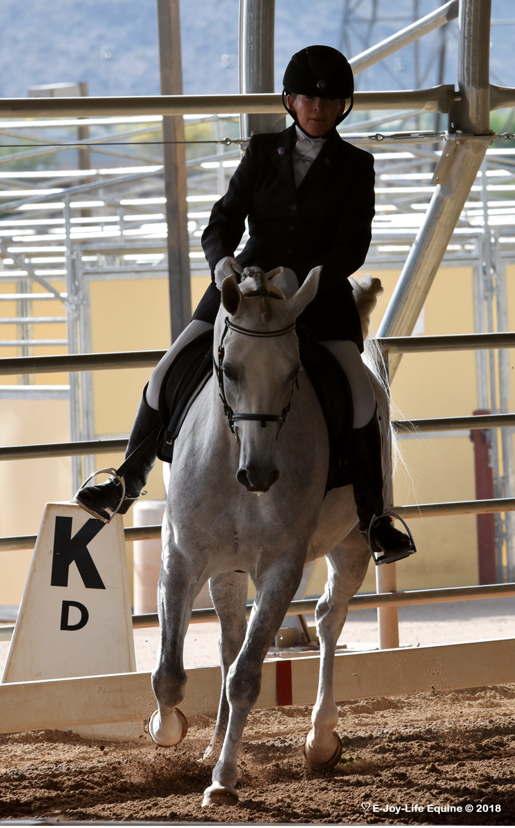 DSC_2593