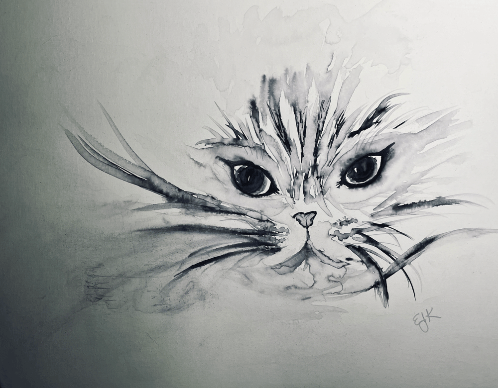 Tabby Cat
