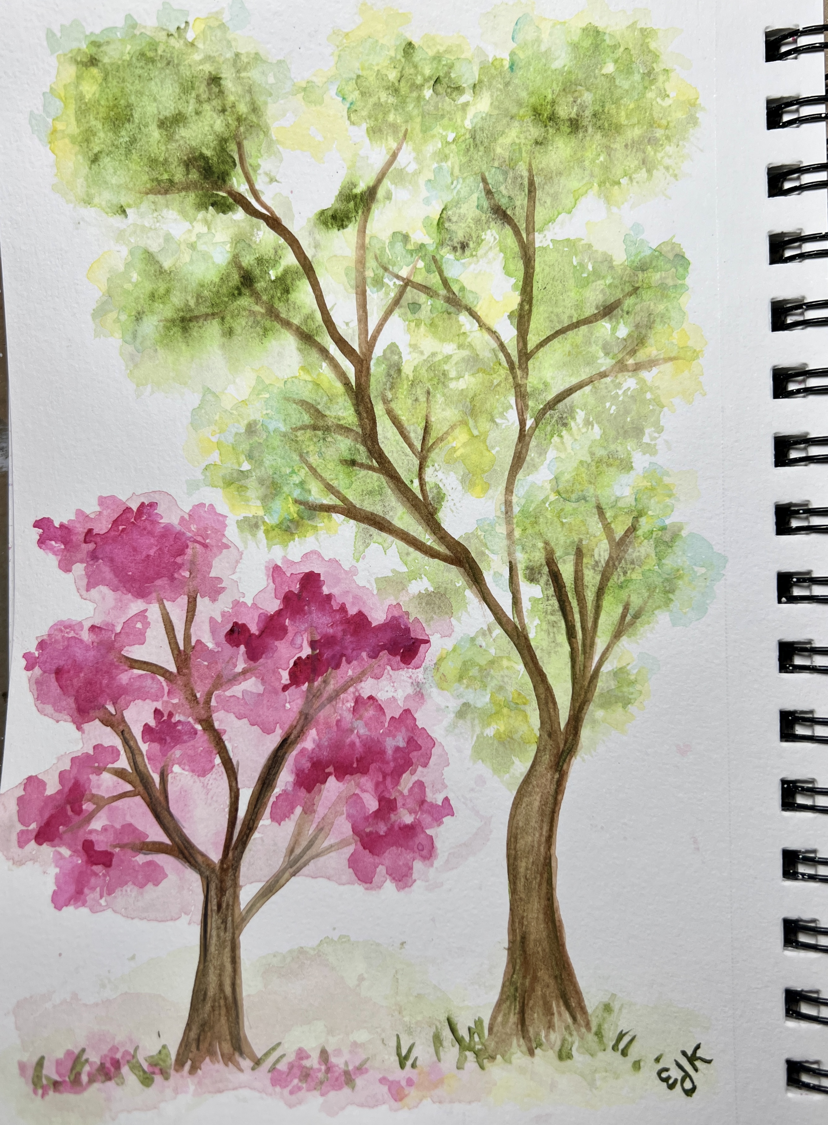 Spring