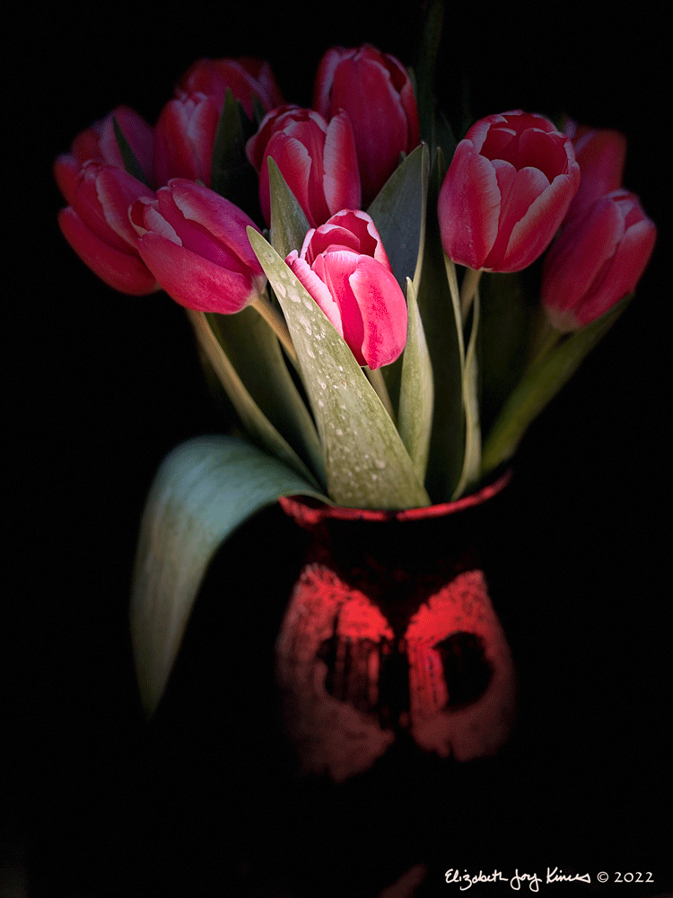 Tulips V