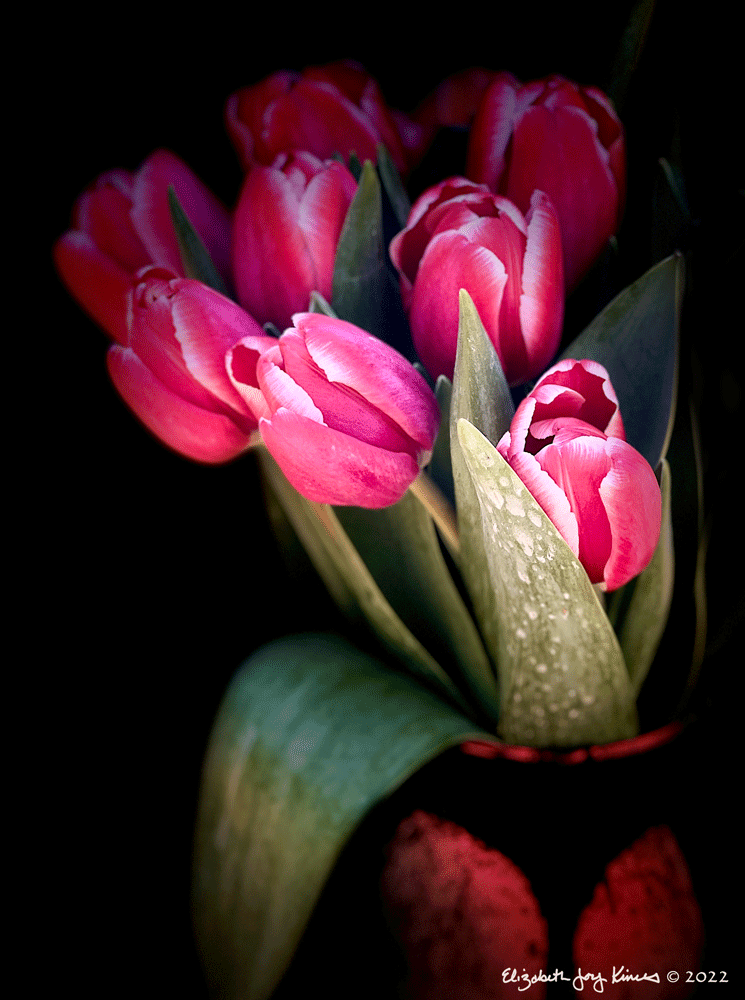 Tulips I