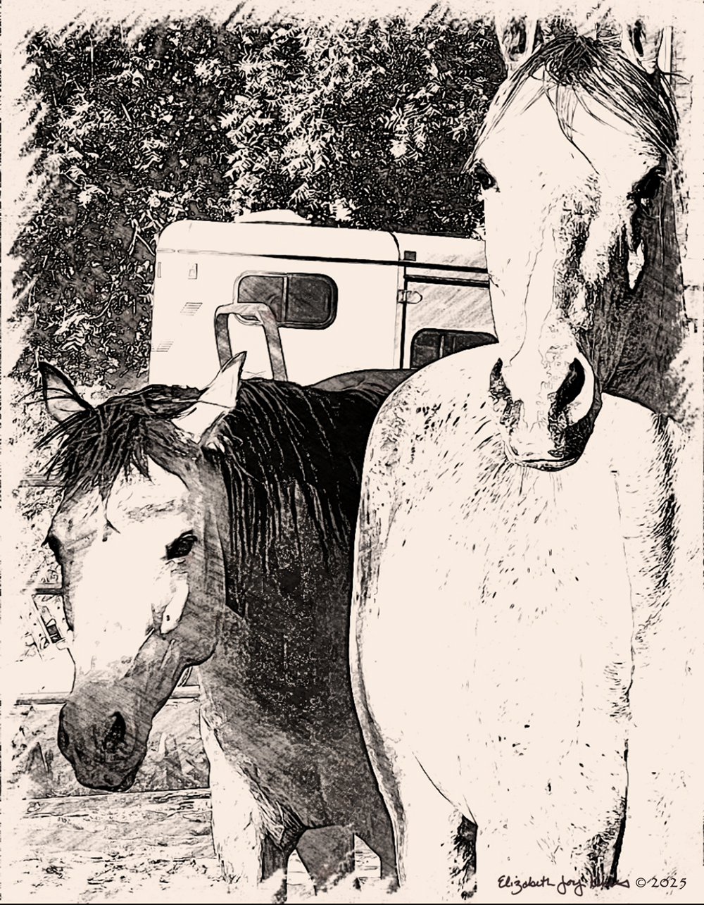 Remmers & Sweet Pea