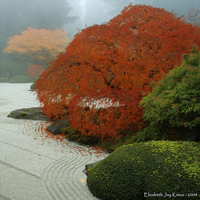 Autumn Solitude